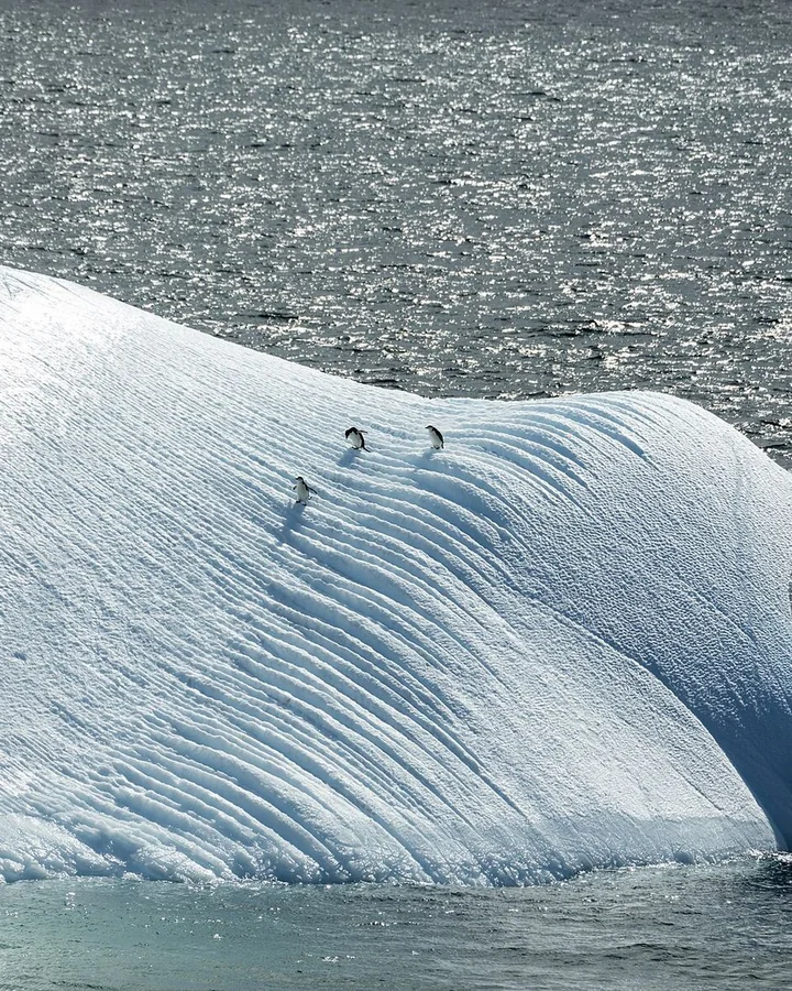 Antarctica