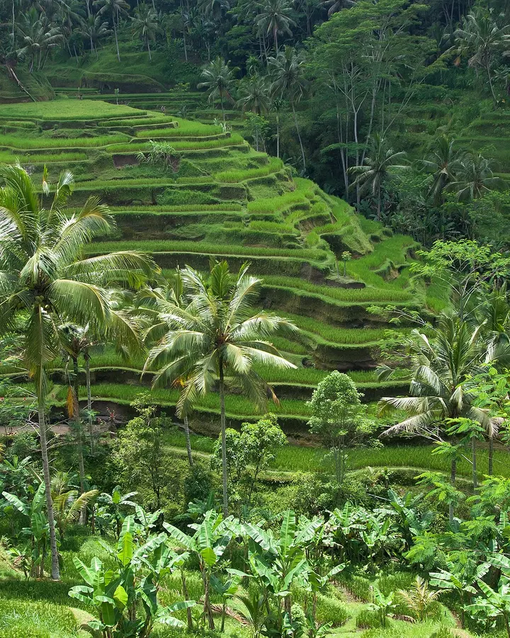 Indonesië