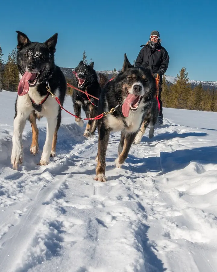 Fins Lapland