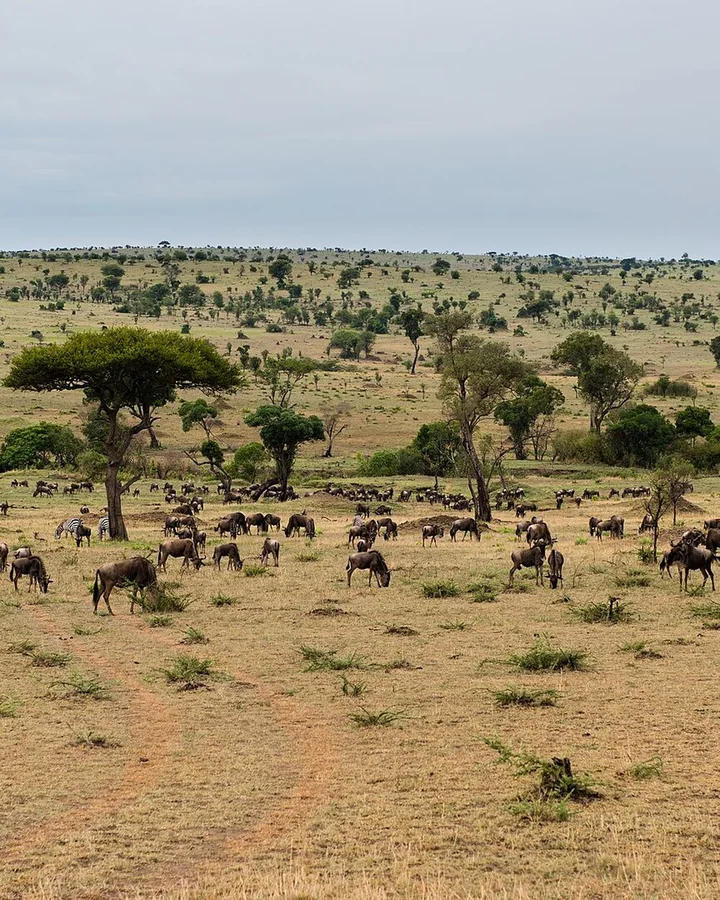 Tanzania