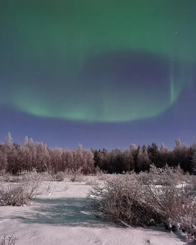 Noorderlicht boven een besneeuwd landschap in Lapland